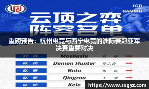 3377体育官网